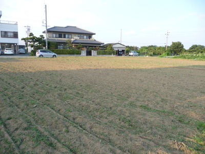 P1000132.JPG