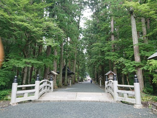 小國神社　参道.jpg