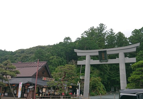 小國神社　鳥居完成.jpg