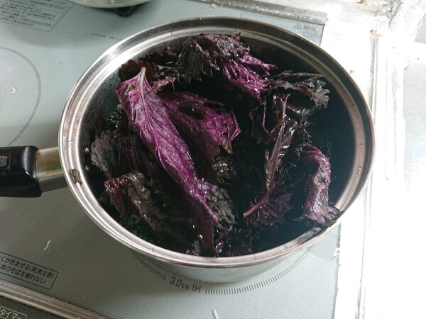 鍋に紫蘇.jpg