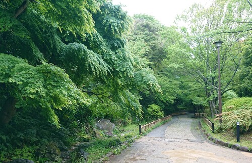 浜松城公園　坂道.jpg