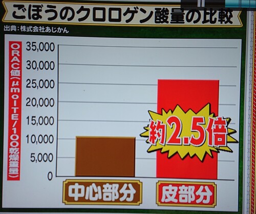 中心部分より2.5倍.jpg