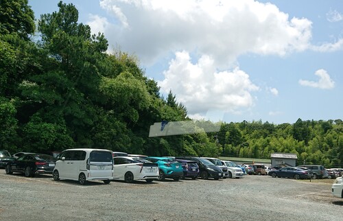 駐車場　他県ナンバー.jpg