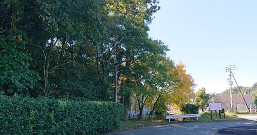 秋野不矩美術館　駐車場.JPG