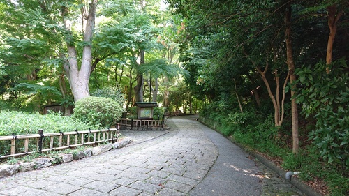 浜松城公園坂道.jpg