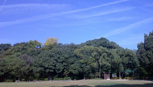 浜松城公園の青空.JPG