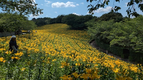 草刈りスタッフ.jpg
