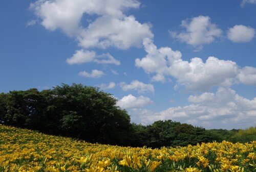 青空と白い曇.JPG