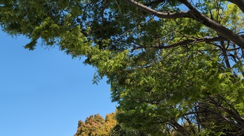 浜松城公園の青空.jpg