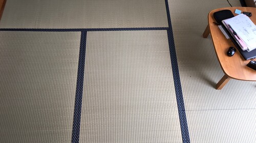 真上から畳.jpg
