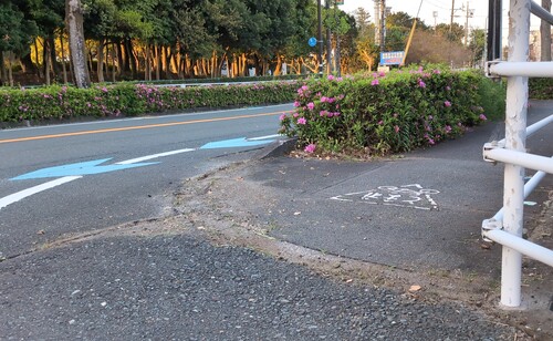 道堺アフター.jpg