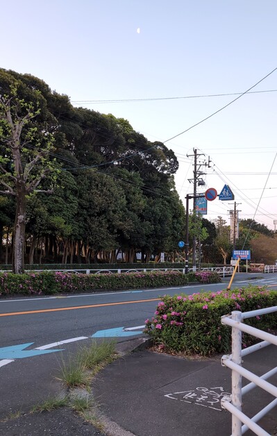 道堺ビフォー.jpg