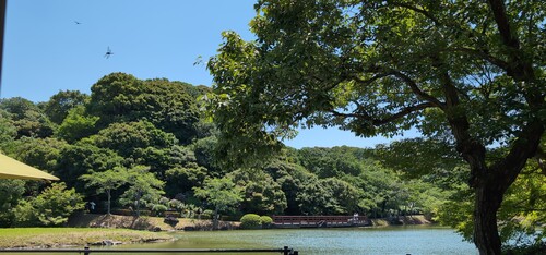 池と全景.jpg
