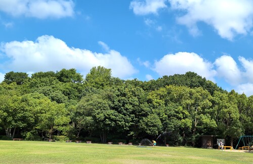 公園のスプリンクラー.jpg