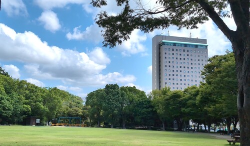 公園の入道雲.jpg