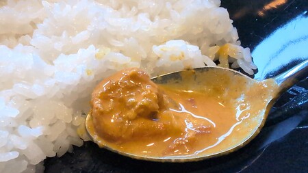 カレーのスプーン乗せ.jpg