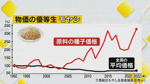 もやしの価格推移.jpg