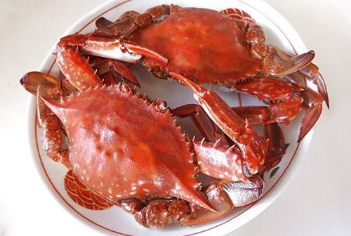ワタリガニは蒸す 茹でるだけのご馳走です 舞阪コーナー 浜松市中区相生町のスーパー Bi An Can ビアンカン