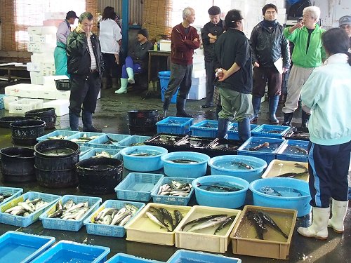 雨降れば巨魚スズキの港 浜名湖雄踏港市場 舞阪コーナー 浜松市中区相生町のスーパー Bi An Can ビアンカン 雨降れば巨魚スズキの港 浜名湖雄踏港市場 舞阪コーナー 浜松市中区相生町のスーパー Bi An Can ビアンカン
