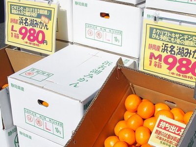 1121mikan2.jpg