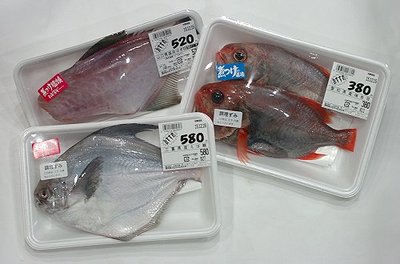 1214gakko4.jpg