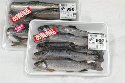 0523toti11.jpg