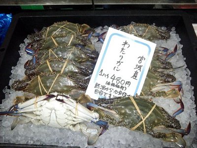 0923kanies1.jpg