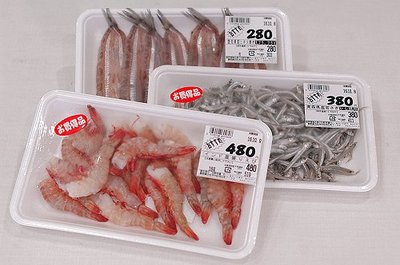 1008nikuoto3.jpg