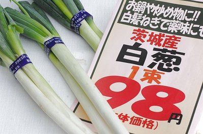 1010nikkui10.jpg