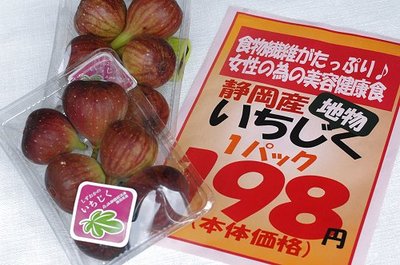 1010nikkui11.jpg