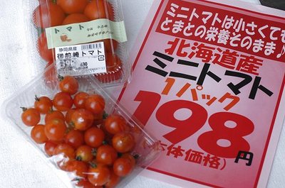 1108nikkugo9.jpg