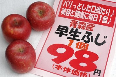 1121nikto10.jpg