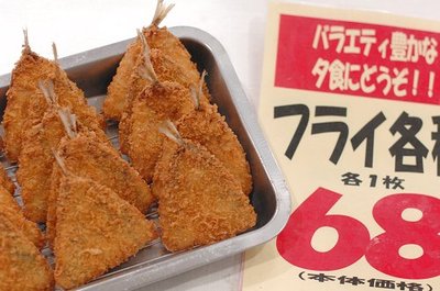 1202sasami7.jpg