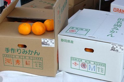 0105fiduk10.jpg