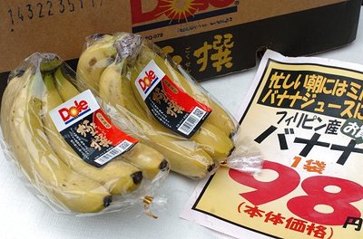 0209niksun10.jpg