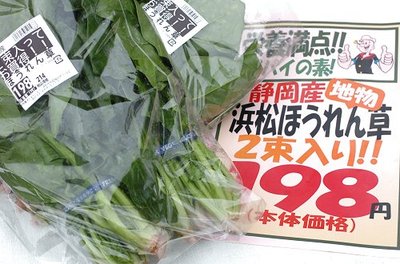 0209niksun11.jpg