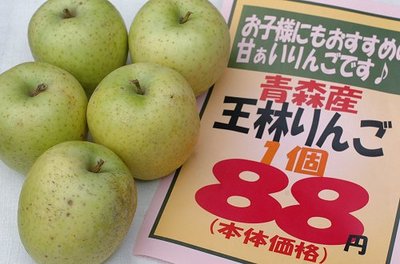 0209niksun12.jpg
