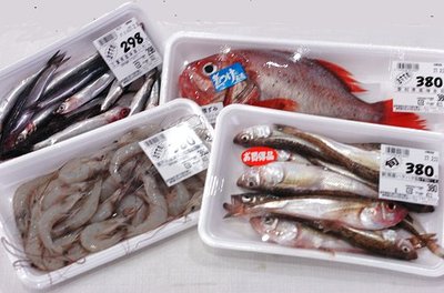 0209niksun4.jpg