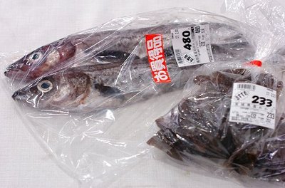 0209niksun5.jpg