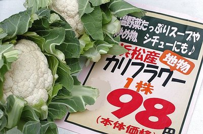 0209niksun8.jpg