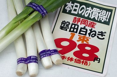 0209niksun9.jpg