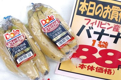 0211mogsuk11.jpg