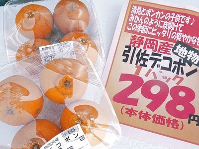 0329nikktun11.jpg